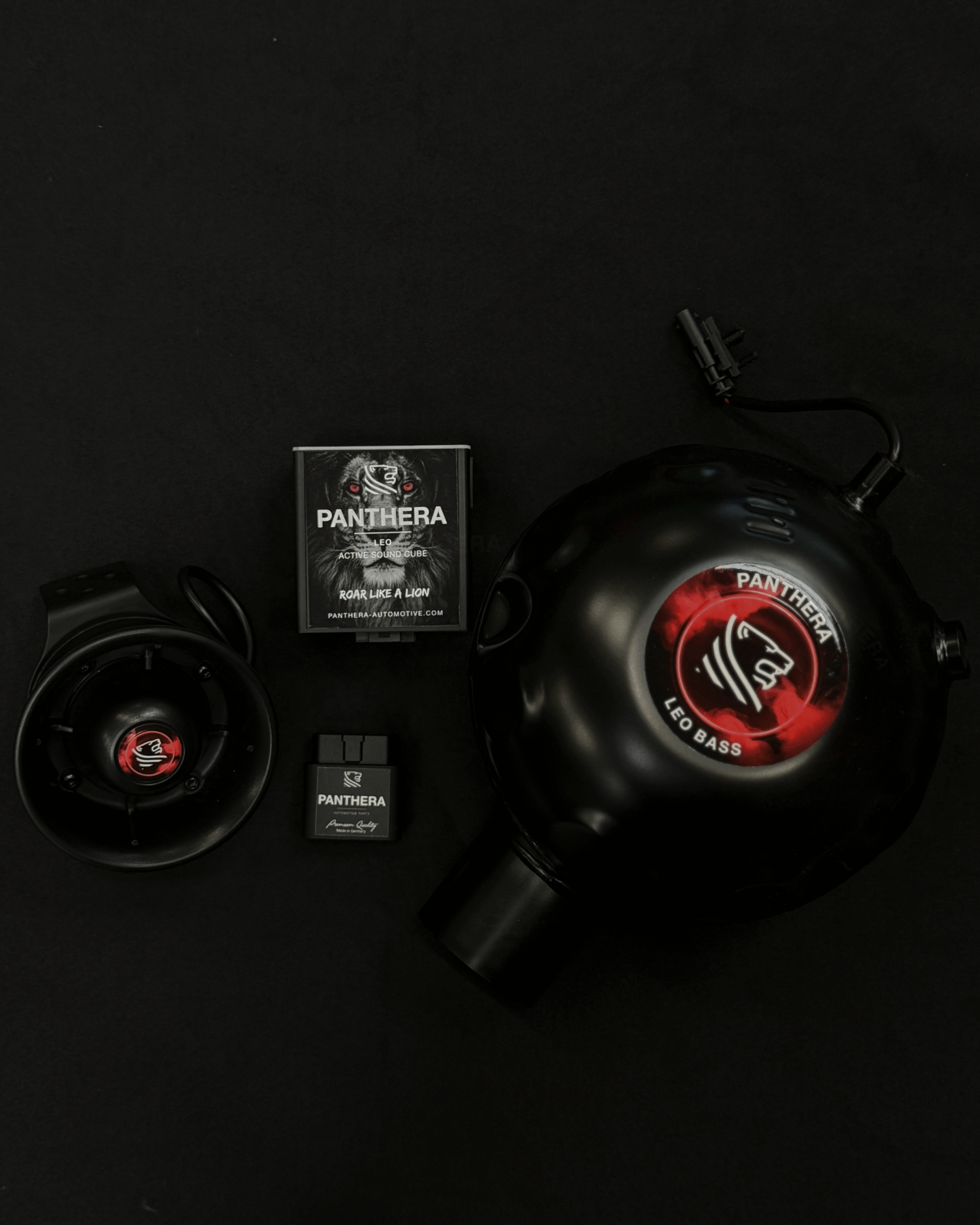 Active Sound Léo Panthera : Disponible  chez LSF 13 – Salon-de-Provence et LSF 74 – Sciez-sur-Léman