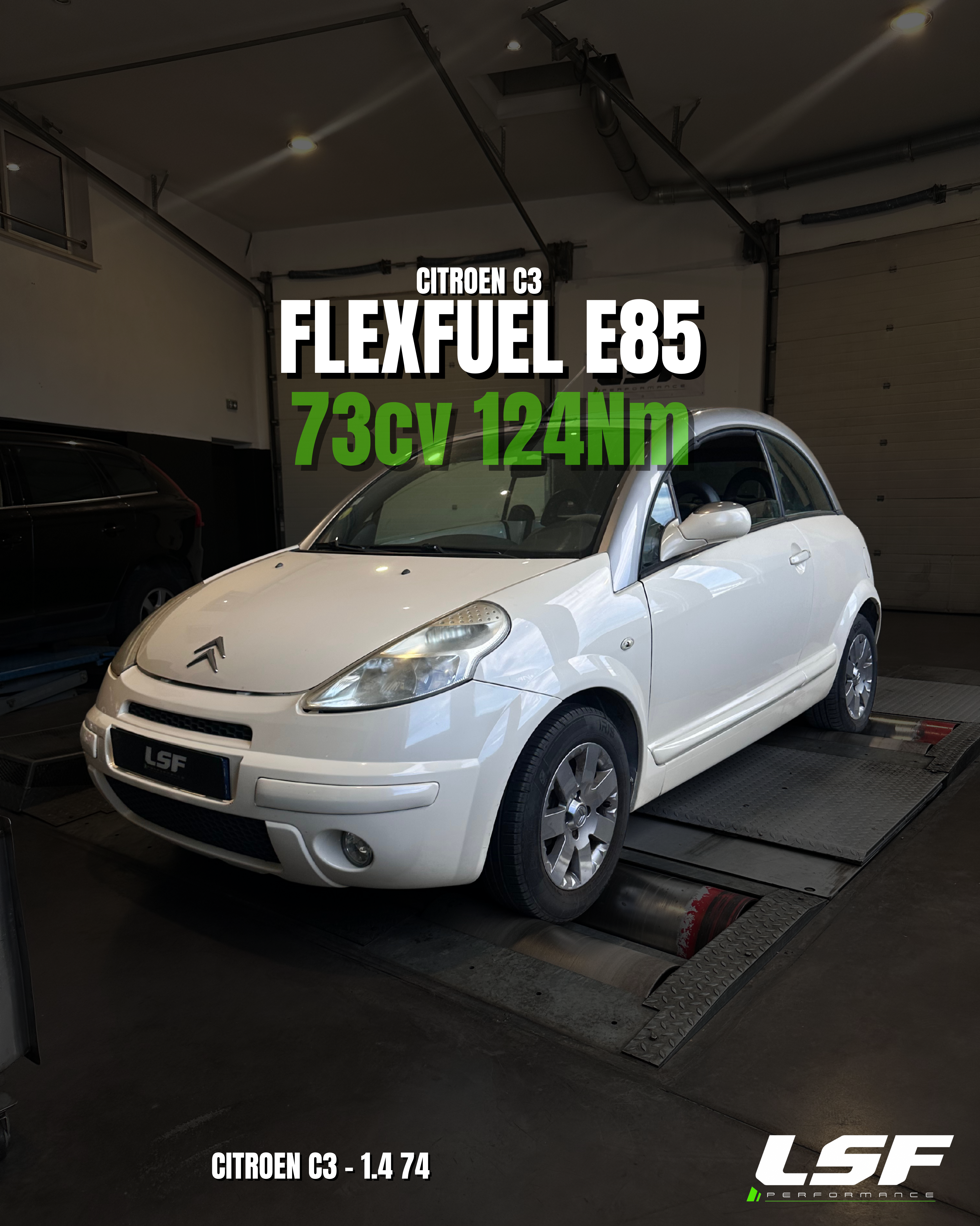 Conversion FlexFuel