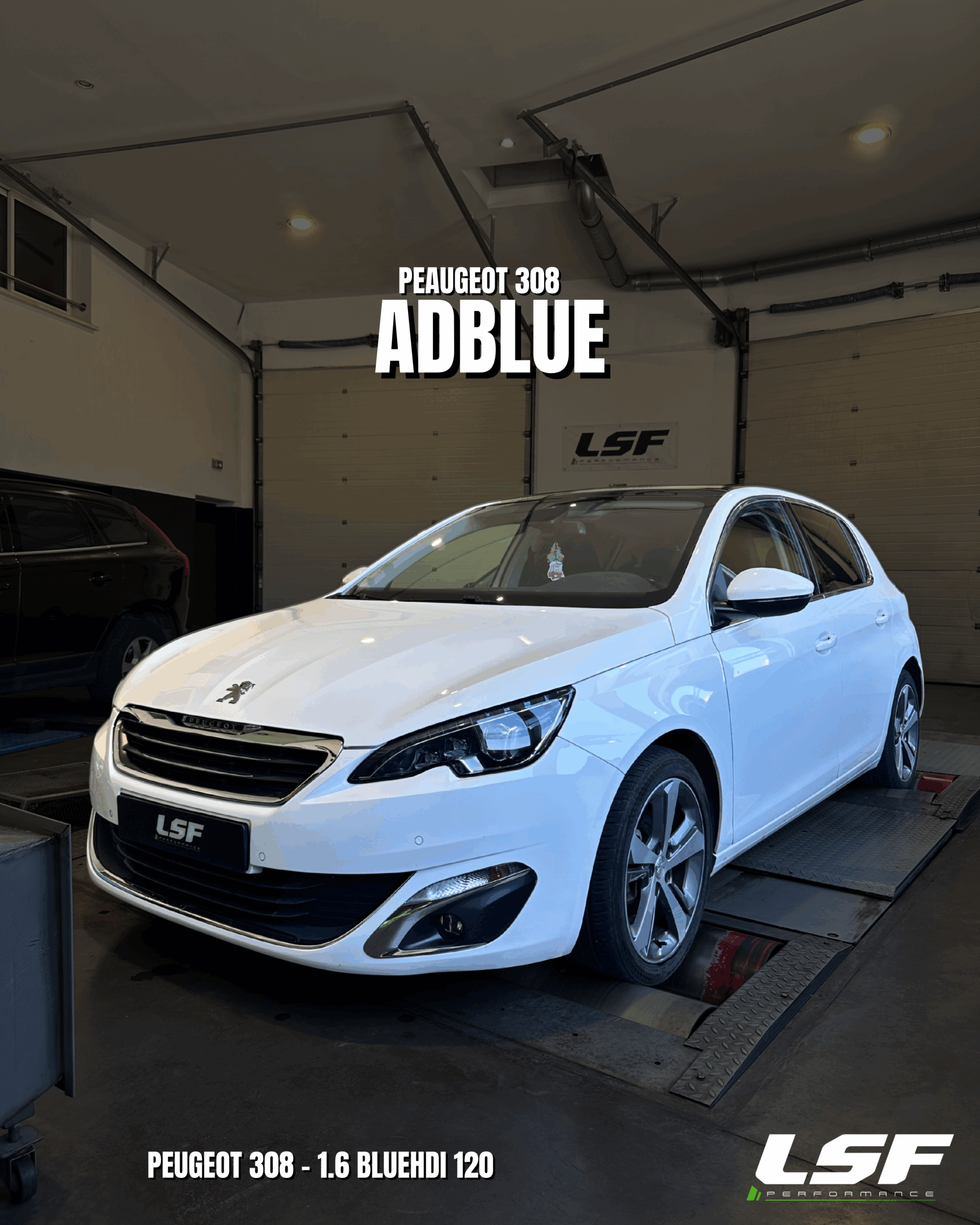 Solution Ad Blue – Peugeot 308 1.6 Blue HDI – Cavaillon