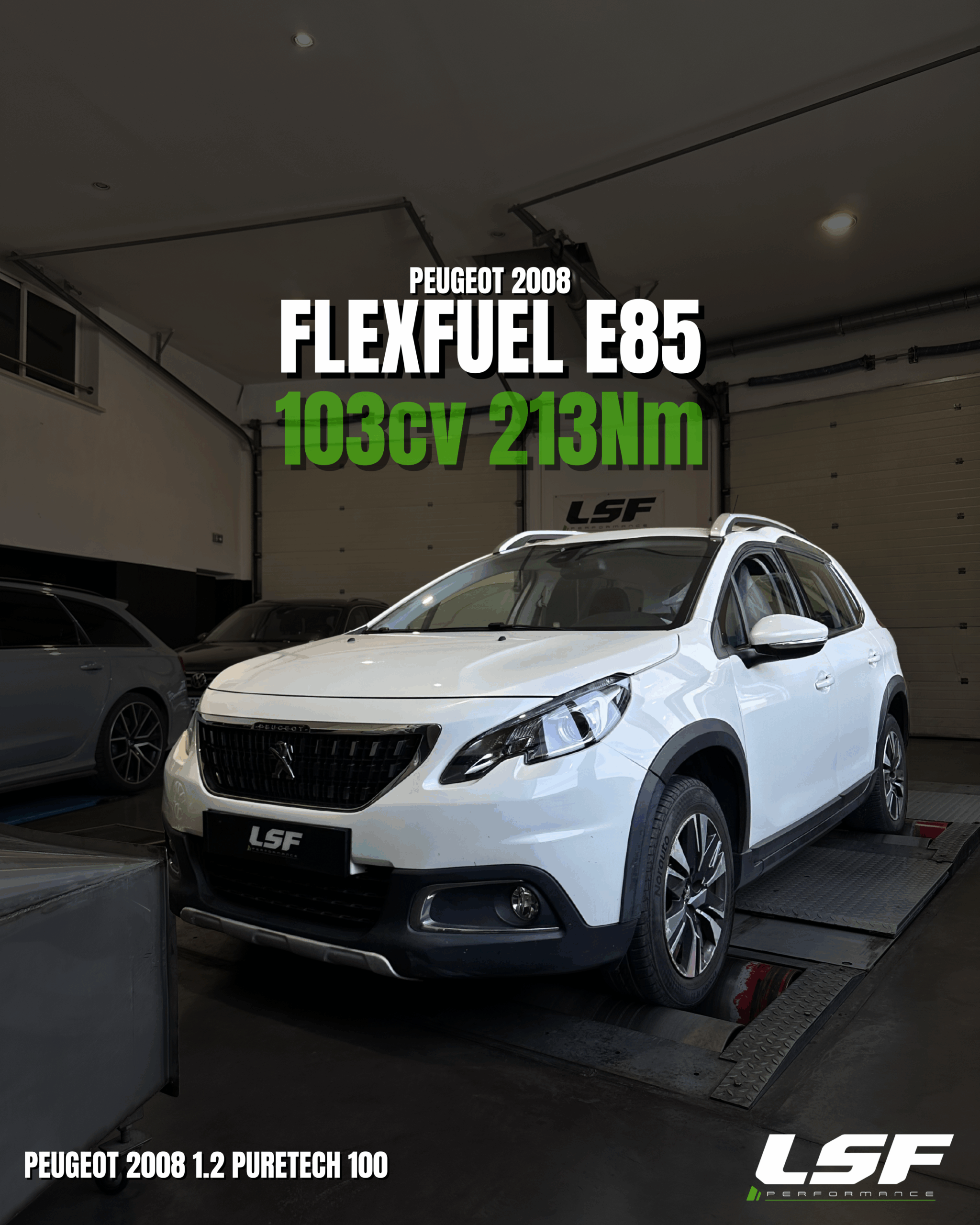 Conversion FlexFuel E85 Peugeot 2008
