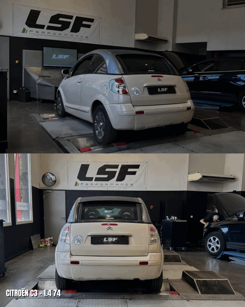 Conversion FlexFuel E85 Citroën C3 | 